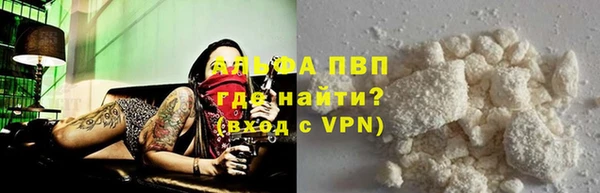 индика Волоколамск