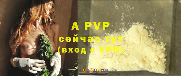 индика Волоколамск