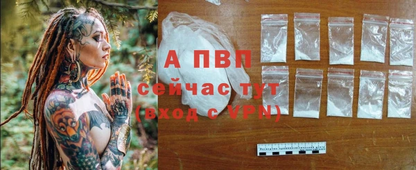 индика Волоколамск