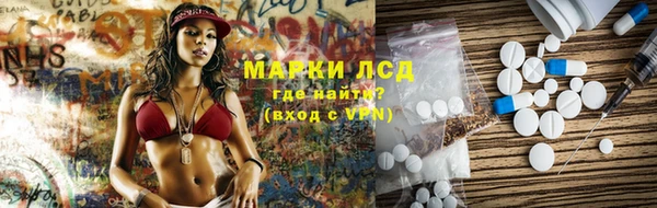 индика Волоколамск