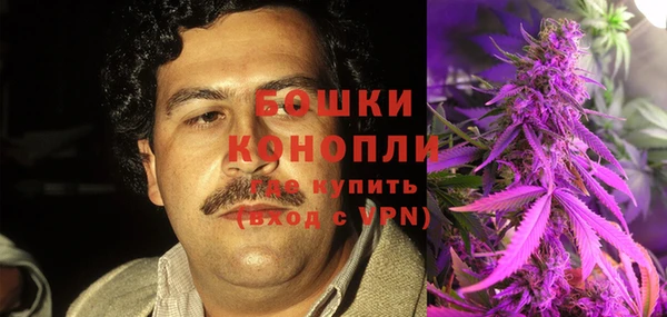 индика Волоколамск