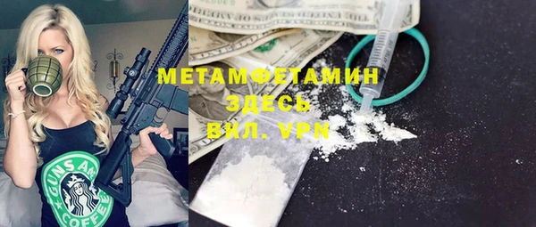 индика Волоколамск