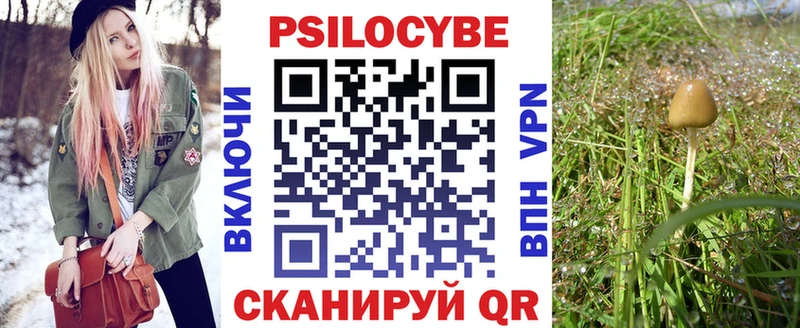Псилоцибиновые грибы Magic Shrooms Кисловодск